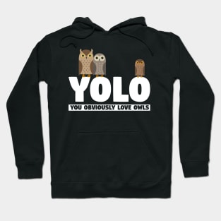 You Obviously Love Owls Hoodie